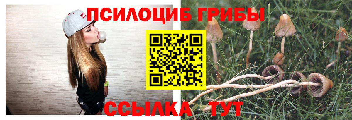 Галлюциногенные грибы прущие грибы Новоуральск