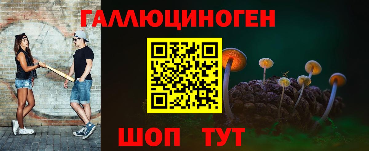 закладки  Псилоцибиновые грибы Cubensis  Вход с VPN  Новоуральск 